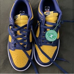 Michigan Nike dunks